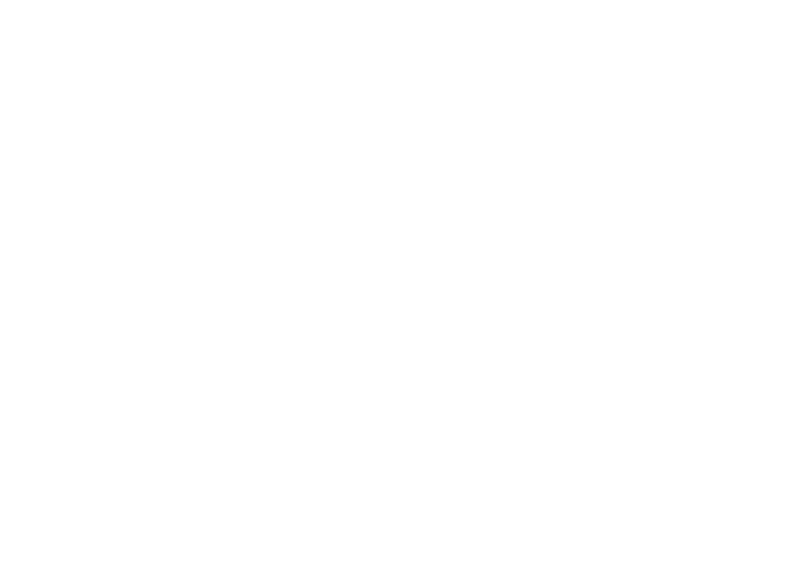 In2iT LLC Consulting